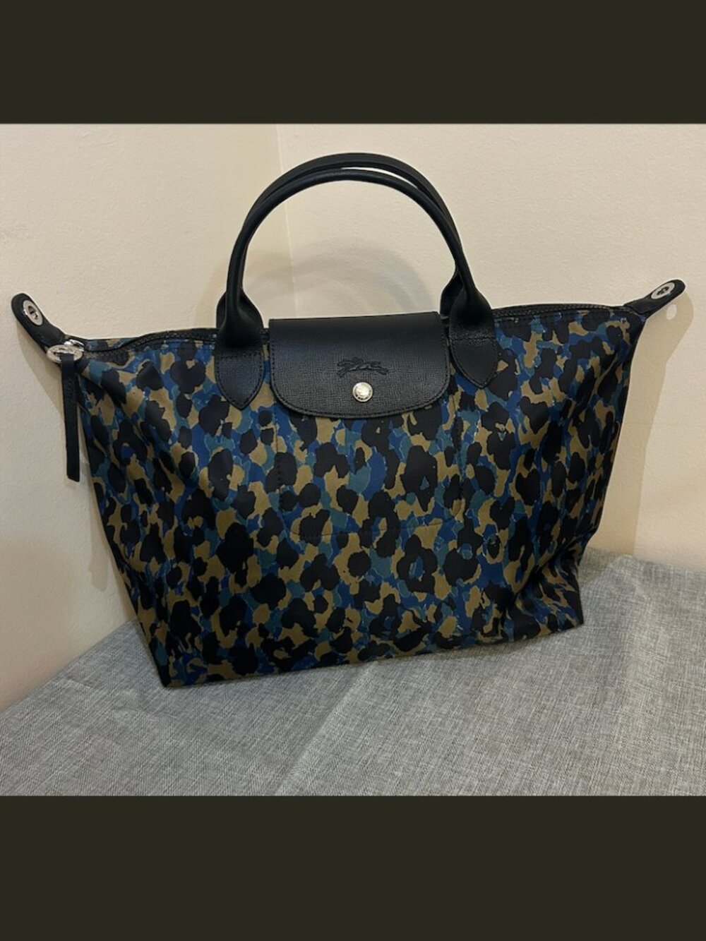 Longchamp Purse